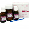 Foredent (30г порошка+2х25г жидкости), SpofaDental